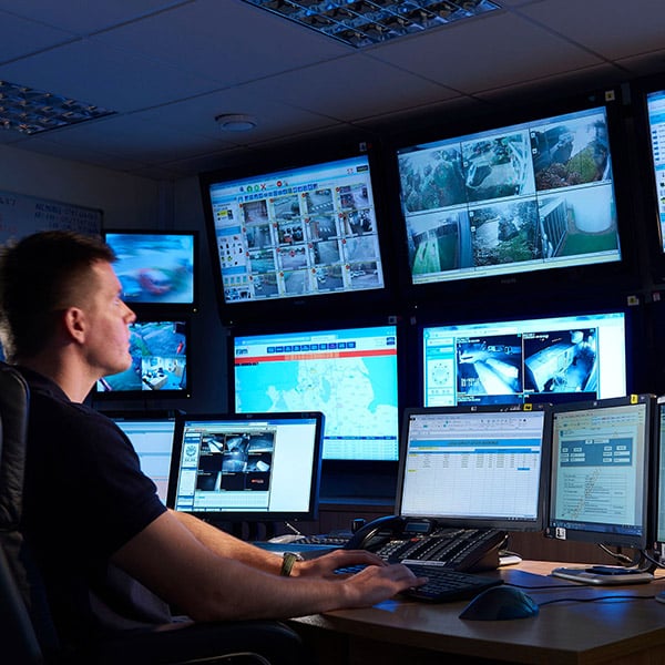 Intruder Alarm Installer Maidenhead